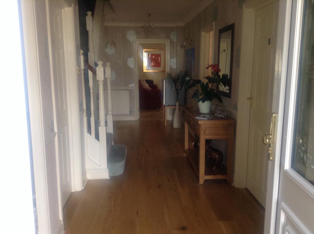 Bure Lodge Christchurch  Bagian luar foto